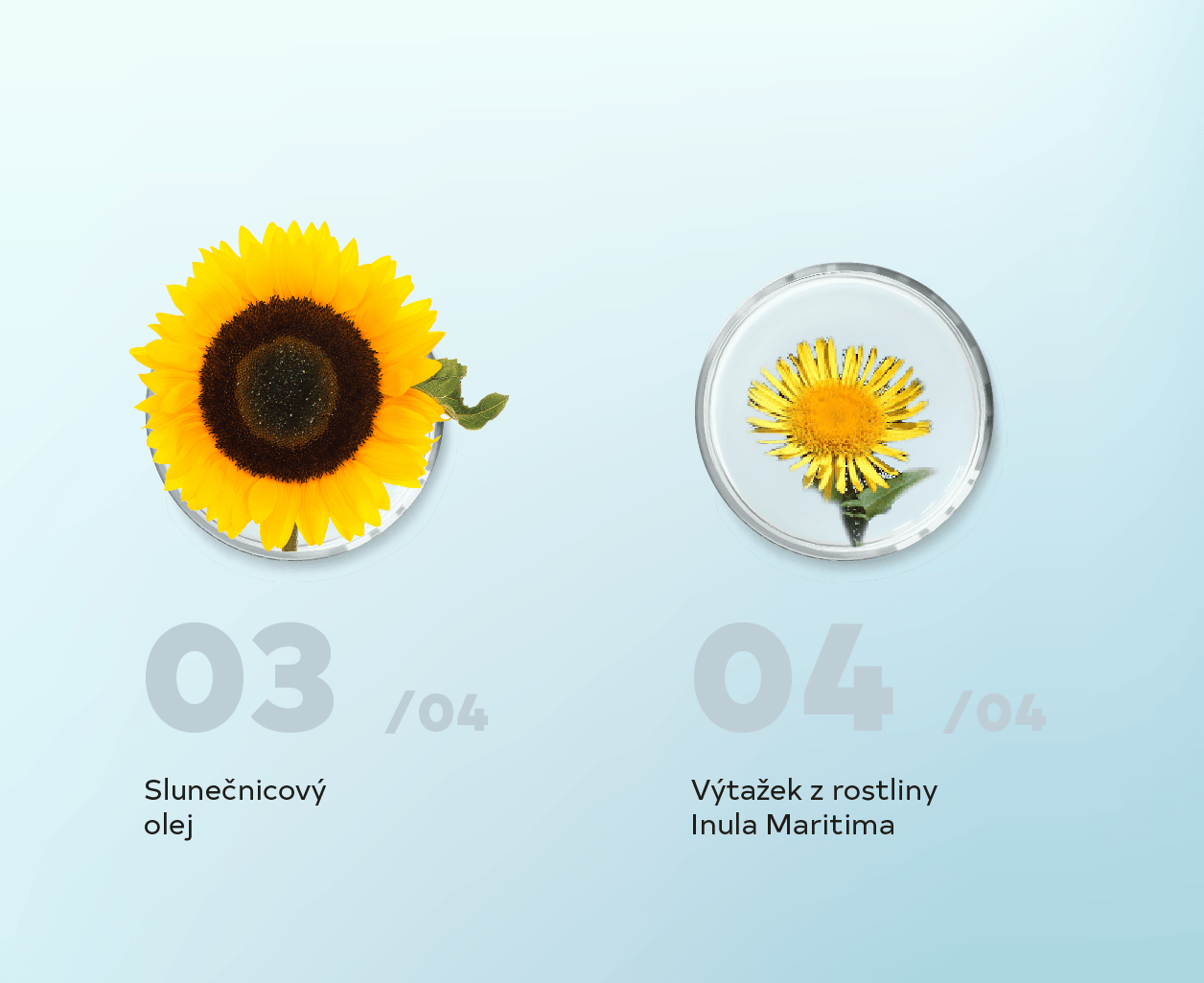 ANTIOXIDANT_OIL_a_1